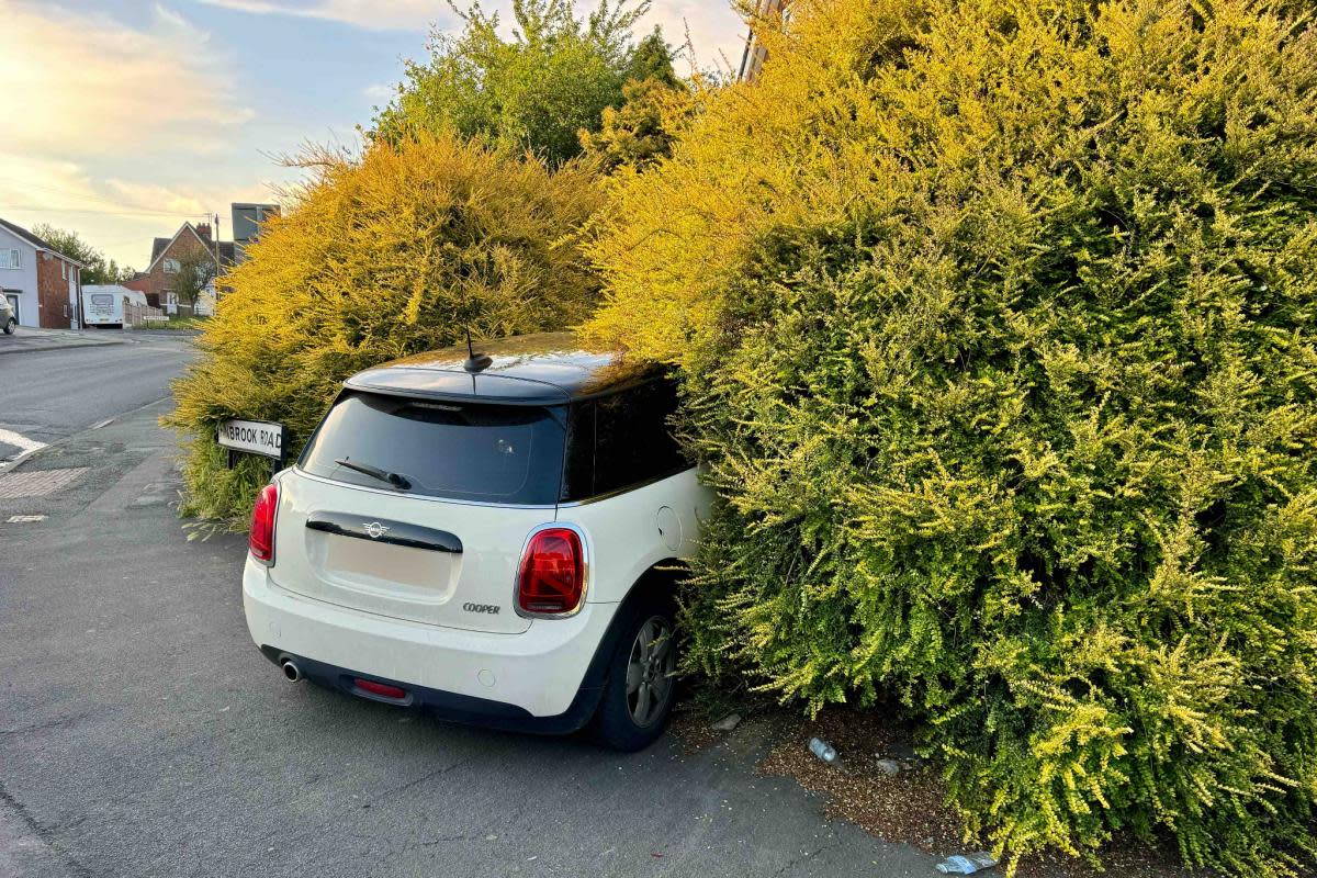 The mini crashed into a bush in Russells Hall <i>(Image: WMP Traffic)</i>