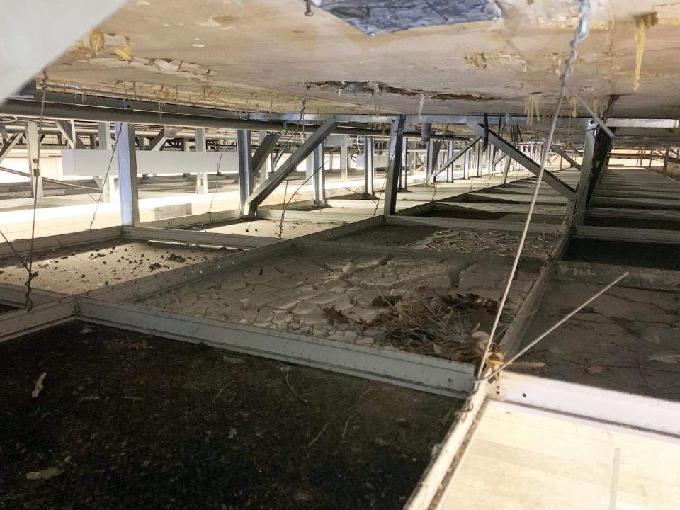 A photo contained in emails shared among City of Ottawa Transit and Infrastructure officials of some ceiling tiles at the St-Laurent LRT Station full of what appears to be debris and 'concrete slurry.' The tunnel concrete above also appears to show signs of delamination, which means separation.