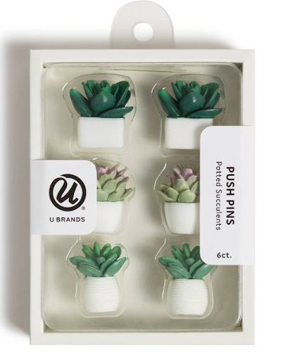 Potted Succulent Push Pins, cool office supplies