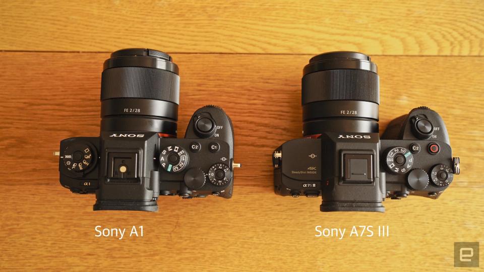 <p>Sony A1 review: The Alpha of mirrorless cameras</p> 