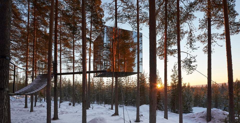 En lugar de un hotel típico, los hoteles de la casa del árbol son más como cabañas de montaña noruegas. Las instalaciones varían de básicas a lujosas, pero todas ofrecen las mismas impresionantes vistas y experiencias en la naturaleza