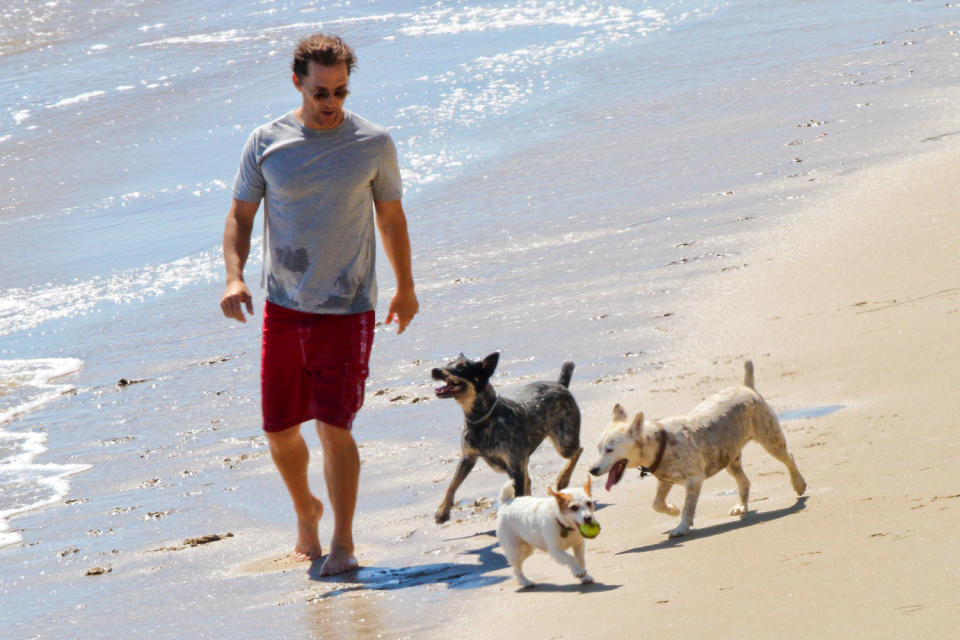 <p>McConaughey and Camila added <a href="https://people.com/pets/matthew-mcconaughey-camila-alves-adopt-second-puppy/" rel="nofollow noopener" target="_blank" data-ylk="slk:a few four-legged friends;elm:context_link;itc:0;sec:content-canvas" class="link ">a few four-legged friends</a> to their family in 2021. </p> <p>In January 2021, the couple adopted two puppies from the Humane Society just days apart. The first was a 4-month-old rescue and the second was a 2-month-old pup. </p> <p>"If you thought...what was I thinking with a 4 month old puppy...well how about with another one that's 2 months old!! 🐶," the Brazilian supermodel wrote alongside a selfie with one of the dogs. </p> <p>"Yep, got work cut out for me in the next months!" she added. "3 kids, 2 older dogs , 2 pups, 1 cat and <a href="https://people.com/movies/matthew-mcconaughey-mother-kay-open-up-estrangement/" rel="nofollow noopener" target="_blank" data-ylk="slk:my mother in law;elm:context_link;itc:0;sec:content-canvas" class="link ">my mother in law</a>😉."</p> <p>The McConaughey family has long included furry friends. Pictured is McConaughey walking along the beach with three of his dogs in Malibu, California, in 2010. </p>