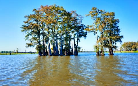 Atchafalaya River Basin - Credit: iStock