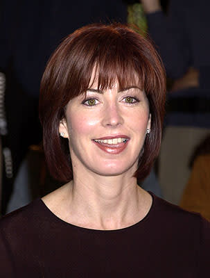 Dana Delany at the Hollywood premiere of New Line's Blow