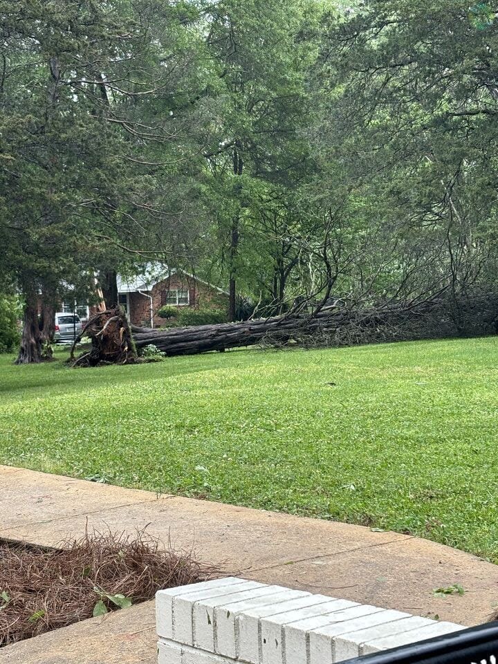 Wind gusts over 60 mph knocked down trees throughout Rock Hill.