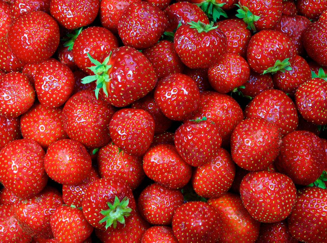 Unter dem Mikroskop wird deutlich, was auf den ungewaschenen Erdbeeren alles lauert. (Foto: Getty Images)