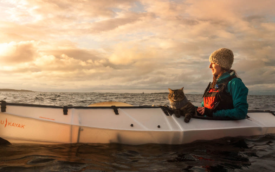 <p>Unlike most cats, Bolt and Peel are comfortable in the water, but it's important to keep their needs in mind. "We often have to slow down for them to enjoy it," noted VanderRee.</p>