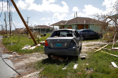 A dog sits in the shadow under a destroyed car after Hurricane Dorian hit the Abaco Islands in Spring City