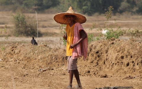 A tribal person of Odisha state walks near his village - Credit: NurPhoto