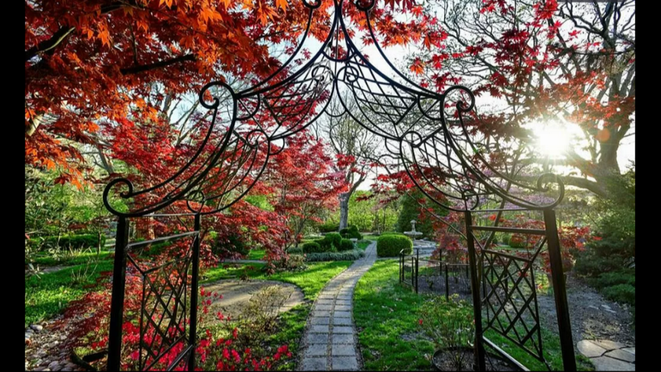 A peek at the garden outside the Charles and Josephine Peters house, 1228 W. 55th St. The garden was built in 1981.