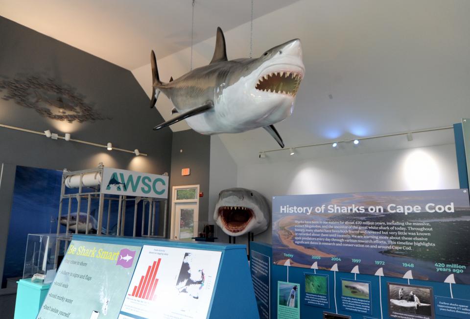 Trick-or-treat amongst the sharks at the Shark Center in Chatham.