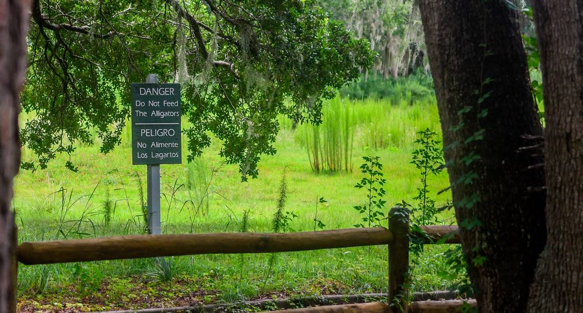A sign warning of alligators and not to feed them are positioned on property owned by the Town of Hilton Head Island as seen on Monday, Aug. 23, 2022 near parking for The Legends on the Green Condominium Villas on Hilton Head.