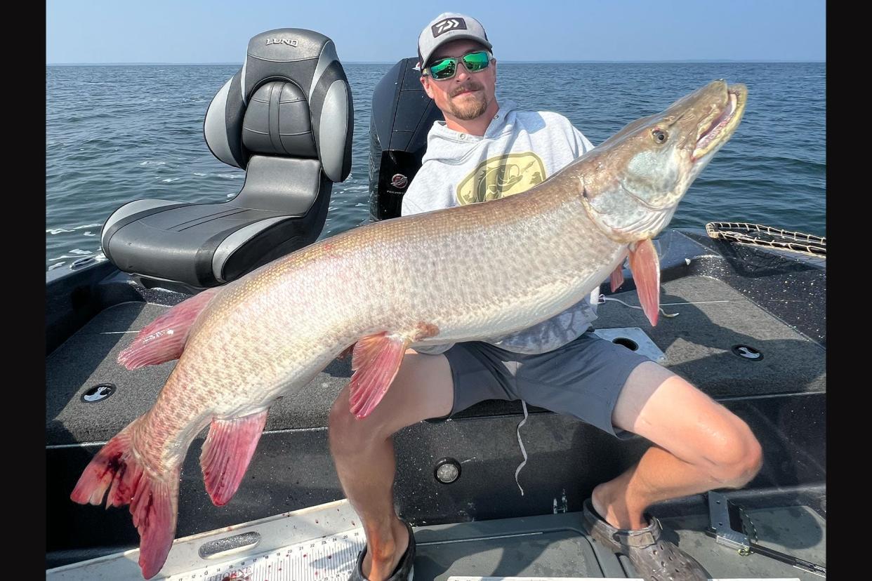 Watch: Minnesota Angler Boats Massive Muskie Just Inches Shy of State Record photo