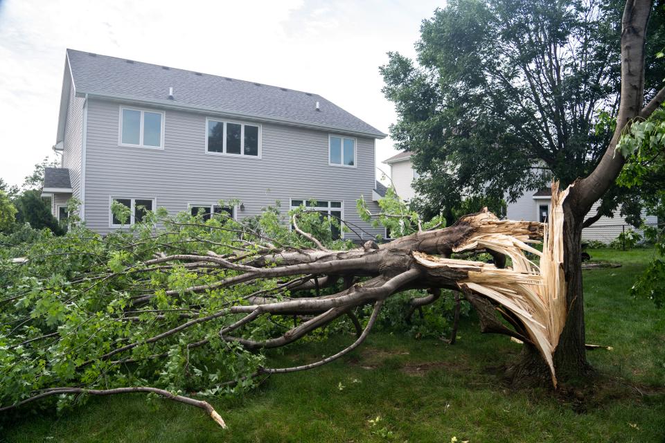Tree damage is seen in the backyard of Karen and Craig Van Thournout after a severe storms passed through the area on Tuesday, July 16, 2024, in Urbandale. The family recently had 15 feet cut off the tree.