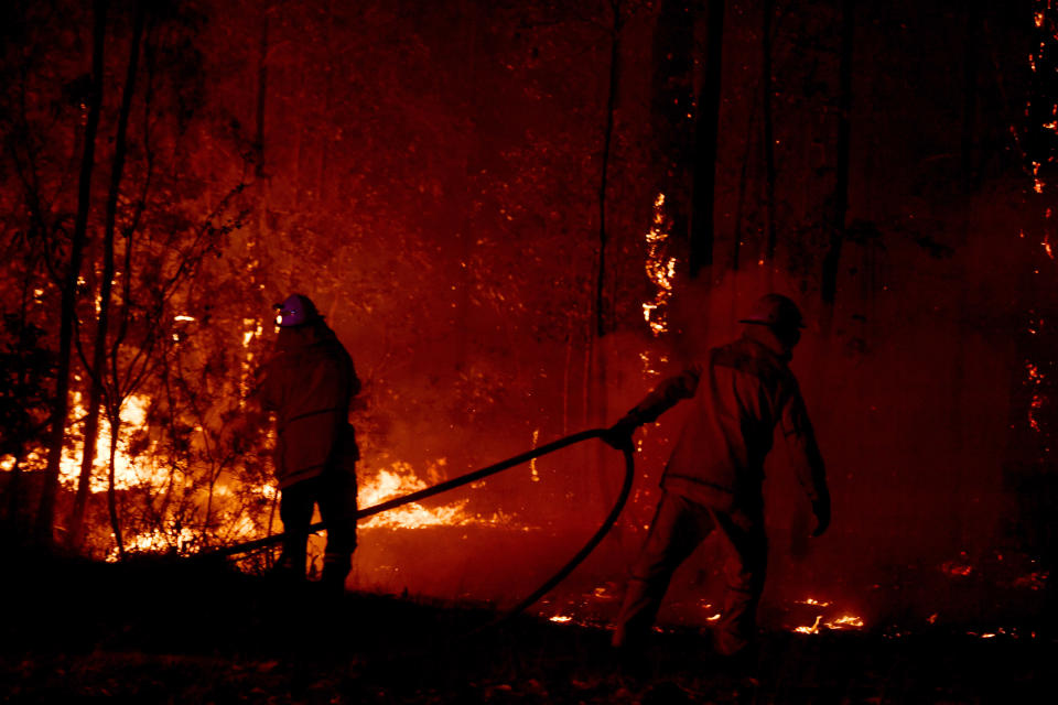 SYDNEY, AUSTRALIA - DECEMBER 31: A Rural Fire Service (RFS) firefighter conducts mopping up near the town of Sussex Inlet on December 31, 2019 in Sydney, Australia. There are a number of dangerous bushfires burning at emergency level across NSW as weather conditions deteriorate with temperatures expected to rise ahead of gusty southerly change. Princes Highway on the NSW South Coast has been closed with motorists told to avoid all non essential travel. Volunteer firefighter Sam McPaul was killed when his truck rolled over in a freak wind event near Jingellic near the NSW-Victorian border on Monday evening. (Photo by Sam Mooy/Getty Images)