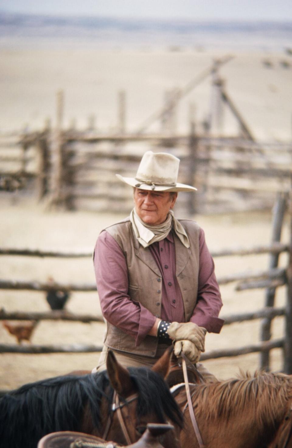 A man in a cowboy hat rides a horse