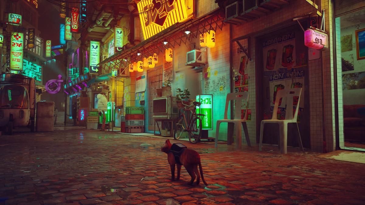 Cyberpunk Bedroom Cat Night Sky Animated Background Video 