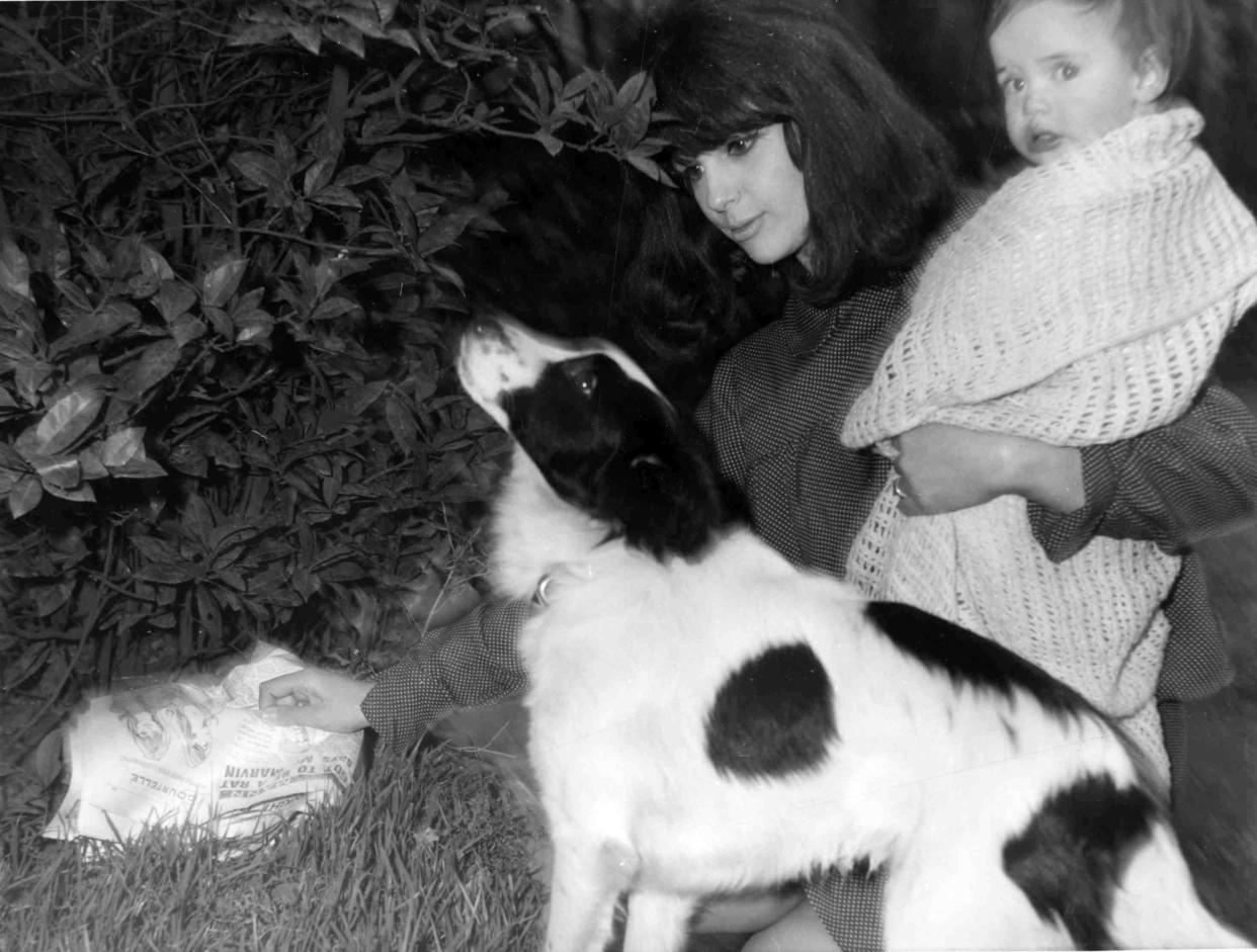 Jean Corbett con su bebé y su perro Pickles en el lugar de su jardín, en Norwood, Londres, donde su mascota encontró el Trofeo Jules Rimet envuelto en papel de periódico. El trofeo había sido robado de una exposición de sellos en el centro de Londres. (AP Photo)