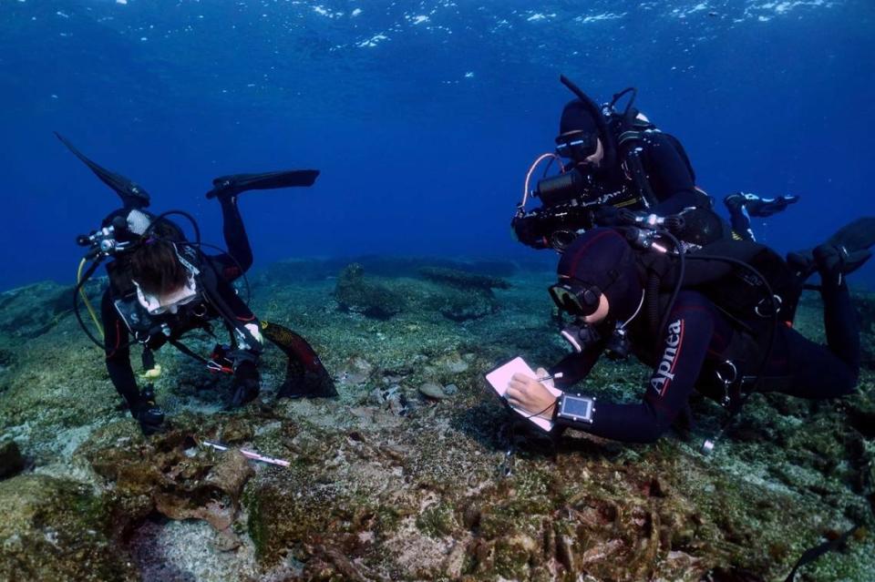 Divers photograph and record underwater artifacts