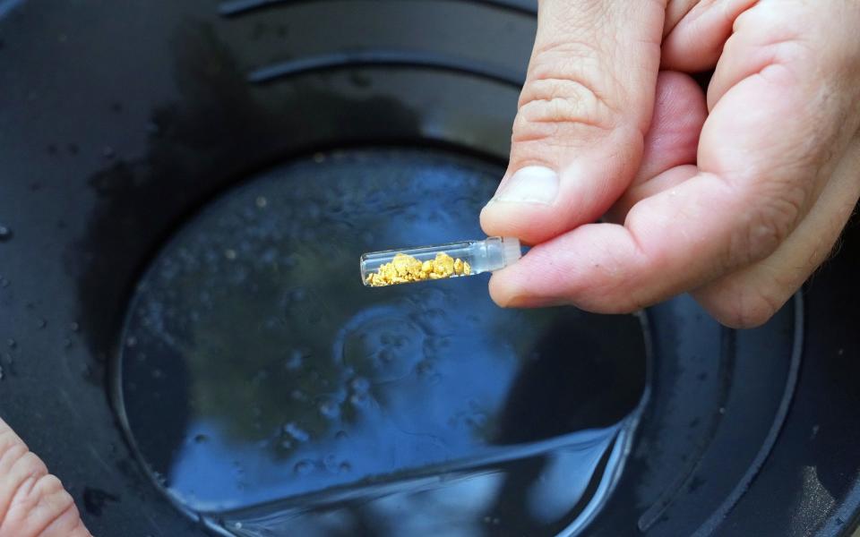 A vial contains bits of gold that came from the creek Albert Fausel was prospecting - New York Times / Redux / eyevine 