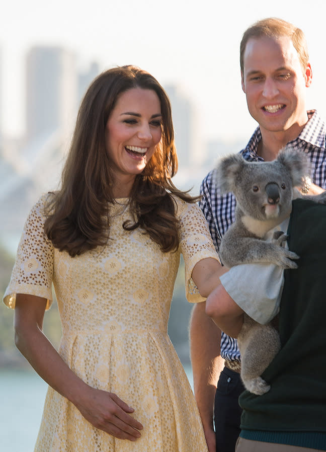 The Duchess yellow dress at Taronga Zoo.