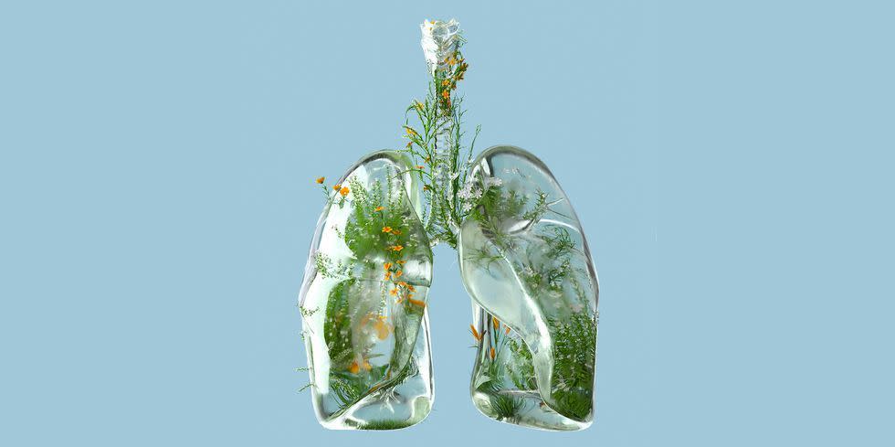 digital generated image of lungs made out of frosted glass and filled with plants and flowers on blue background