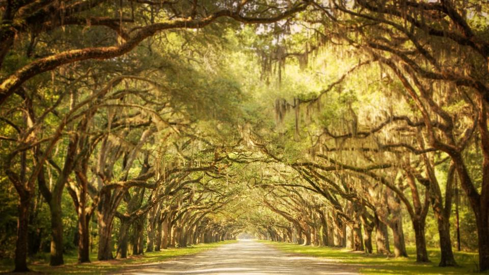 <h1 class="title">Wormslow Historic Site</h1><cite class="credit">Photo: Getty Images/Daniela Duncan</cite>