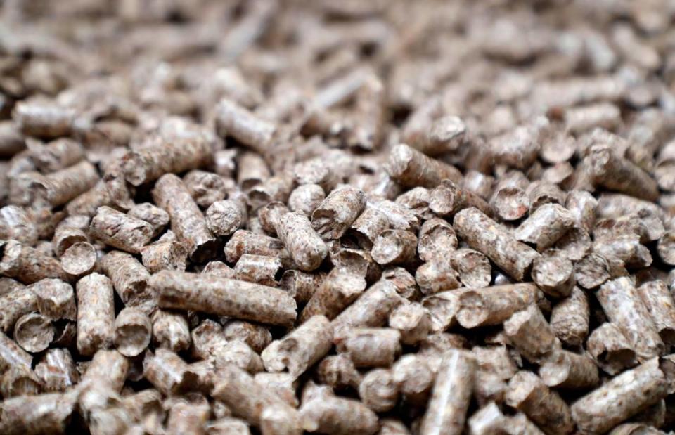 Wood pellets like these are produced by pellet plants in the Carolinas.