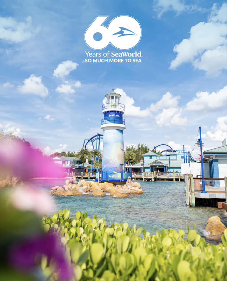 SeaWorld San Diego opened March 21, 1964. A 60th anniversary celebration will be held across all three SeaWorld parks in the U.S.