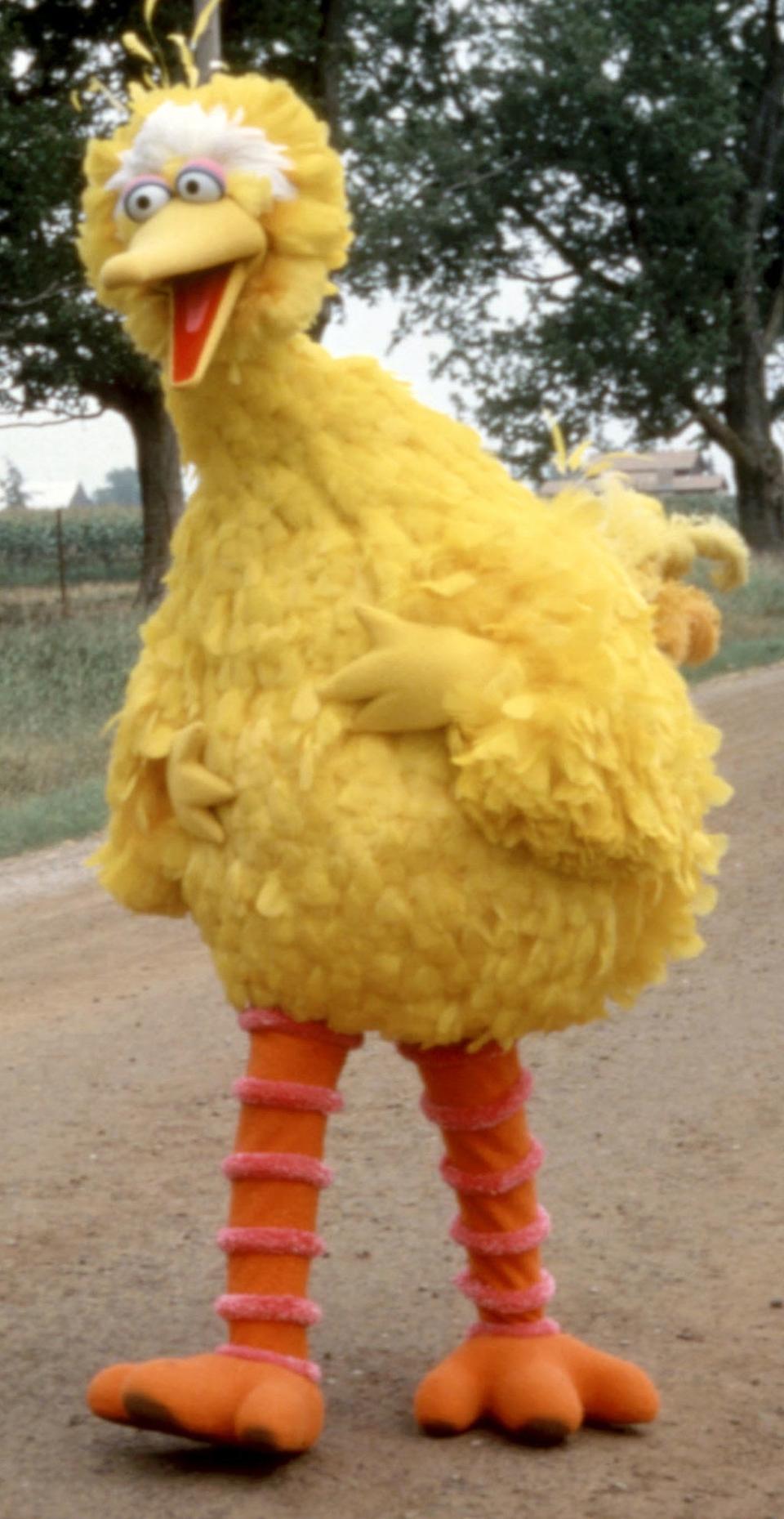 Big Bird in "Follow That Bird"