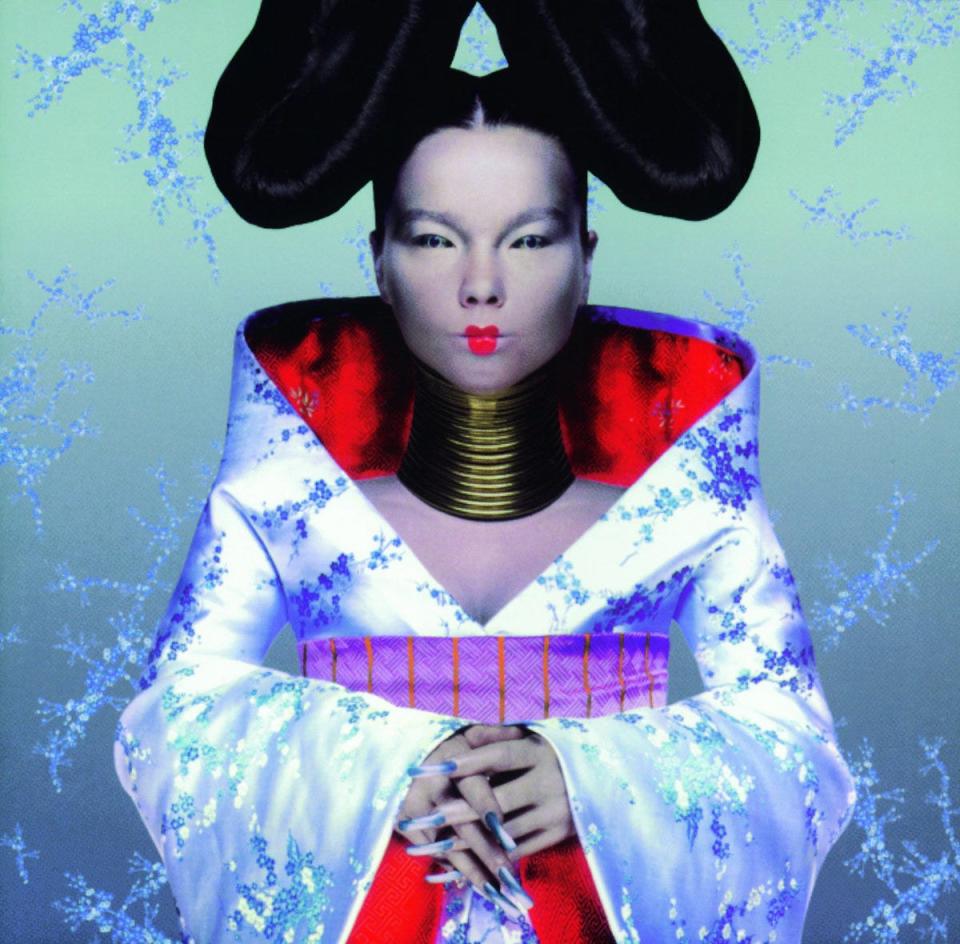 bjork homogenic