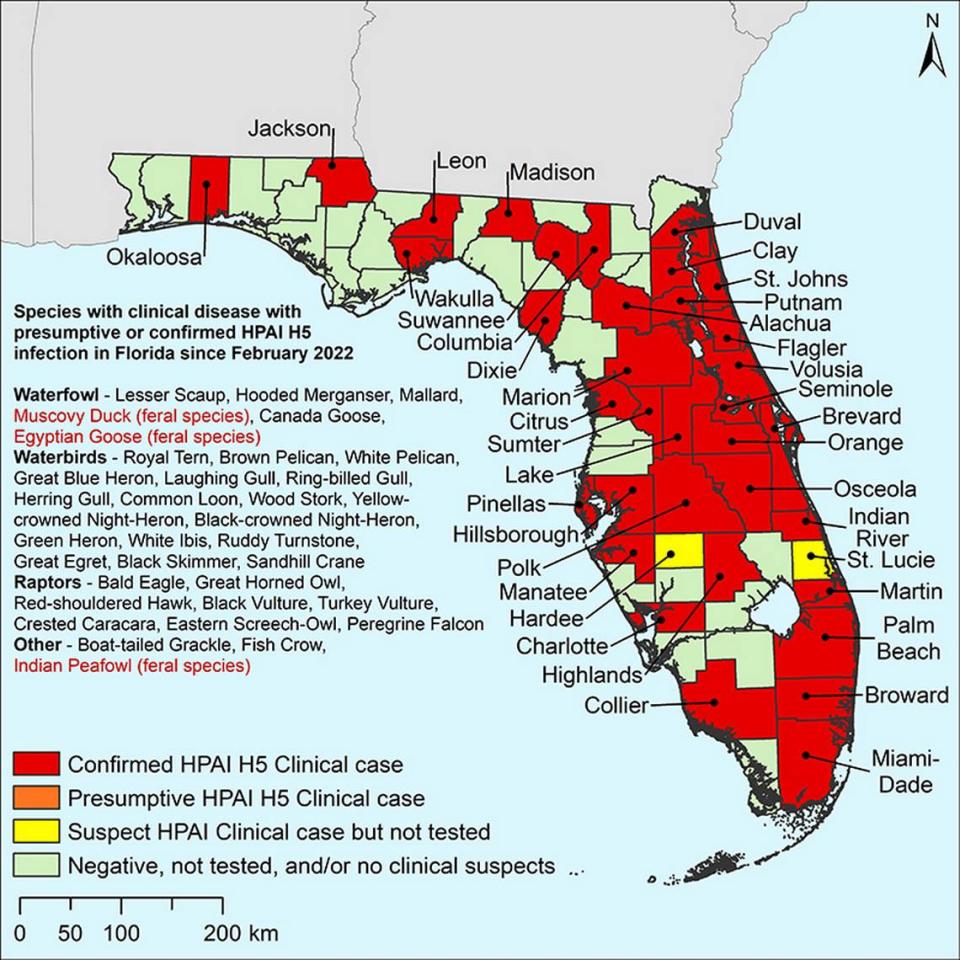 Florida has confirmed cases of Avian influenza A (H5N1), or bird flu, in 35 counties since January 2022, including in Miami-Dade, Broward and Palm Beach counties, according to a January 2023 update from the Florida Fish and Wildlife Conservation Commission.