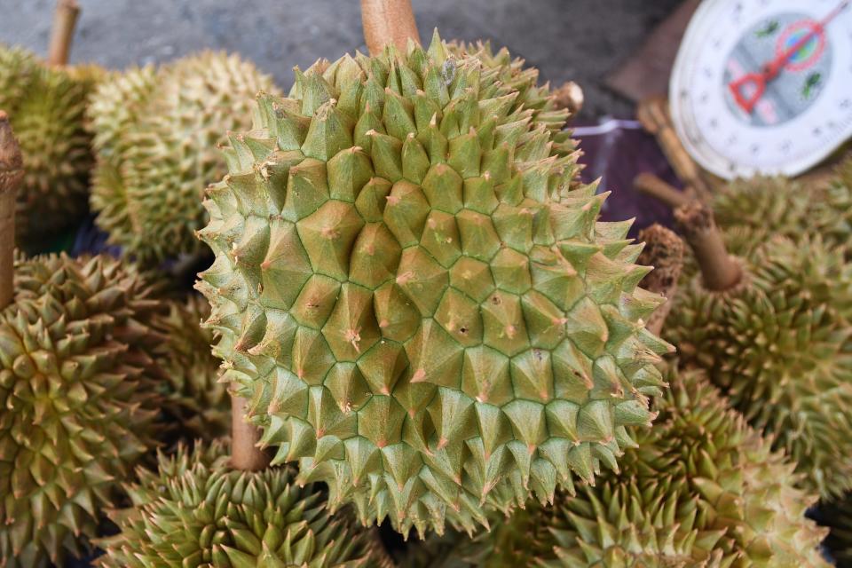 what-the-heck-is-durian-fruit-and-why-does-it-smell-so-bad