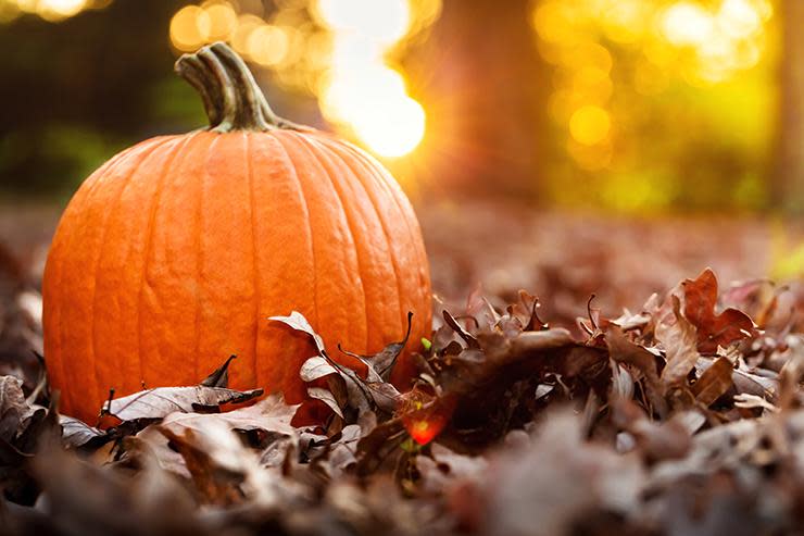 October in the High Desert means cooler weather and a monthly calendar filled with Halloween carnivals, fall festivals, harvest parties, trunk-or-treats, car shows, and plenty of candy.