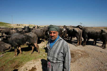 A displaced Iraqi farmer from Badush, northwest of Mosul, who fled his village and later returned to retrieve their buffaloes looks on as the battle against Islamic State's fighters continues in Mosul, Iraq, March 25, 2017. REUTERS/Youssef Boudlal