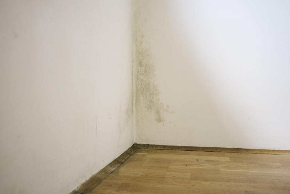 Mould on wall