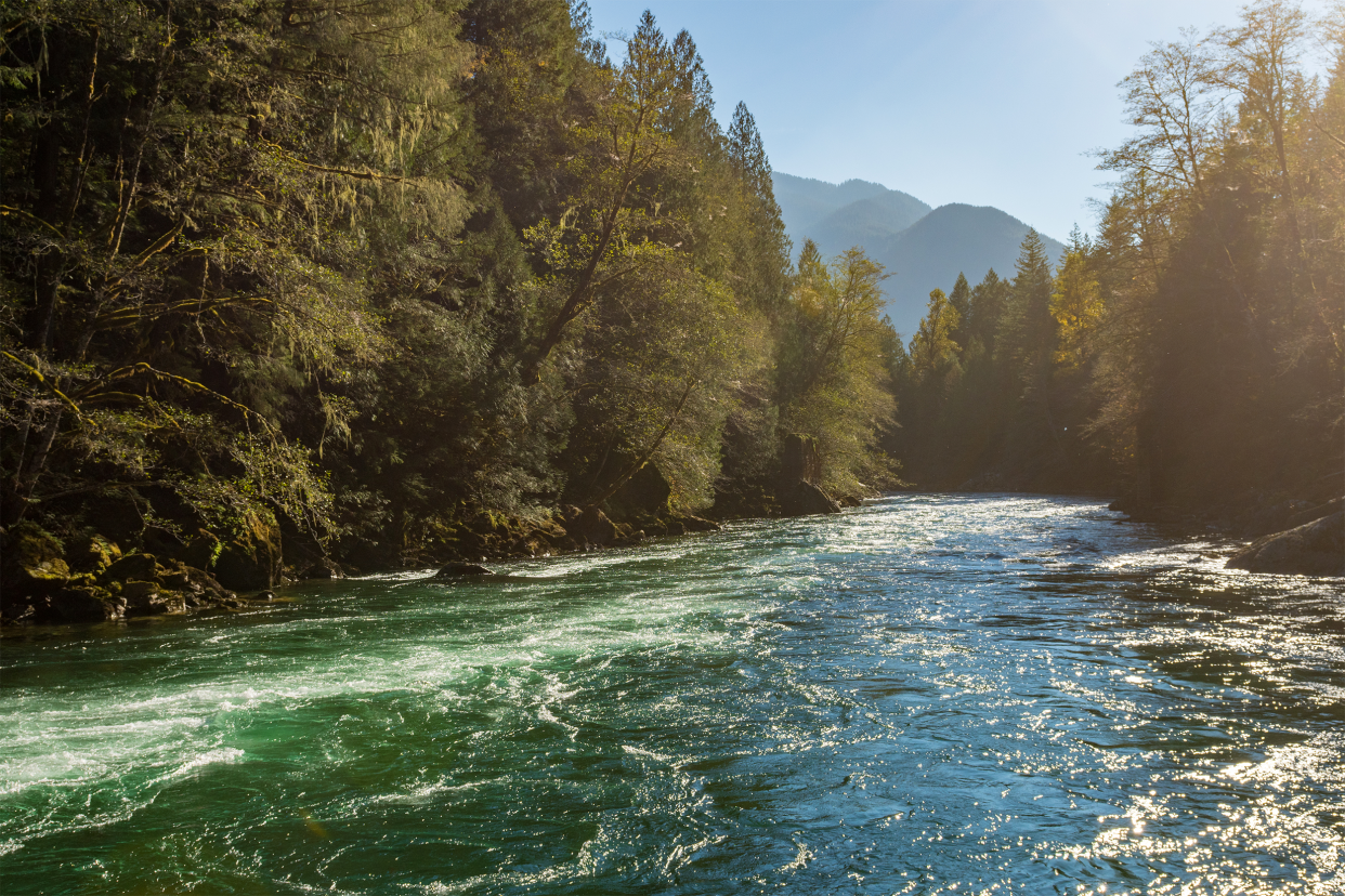 Skagit River