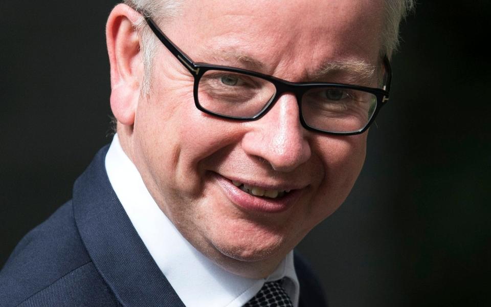 Secretary of State for Environment, Food and Rural Affairs, Michael Gove - EPA