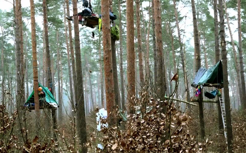 The environmental activists have built treehouses and are pledging to stay for weeks