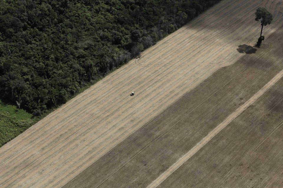 File photo of a tractor working on a wheat plantation on land that used to be virgin Amazon rainforest near Santarem