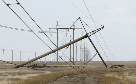 A view shows a damaged electrical pylon near the village of Chonhar in Kherson region, Ukraine, November 23, 2015. REUTERS/Stringer
