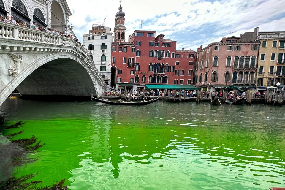 Gondolas navigate by the Rialto Bridge on Venice's historical Grand Canal as a patch of phosphorescent green liquid spreads in it, Sunday, May 28, 2023. The governor of the Veneto region, Luca Zaia, said that officials had requested the police to investigate to determine who was responsible, as environmental authorities were also testing the water.