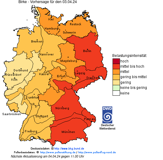 So sieht die Pollenflugkarte des Deutschen Wetterdienstes am 3. April 2024 aus: Gezeigt wird hier die Belastung mit Birkenpollen. (Bild: DWD)