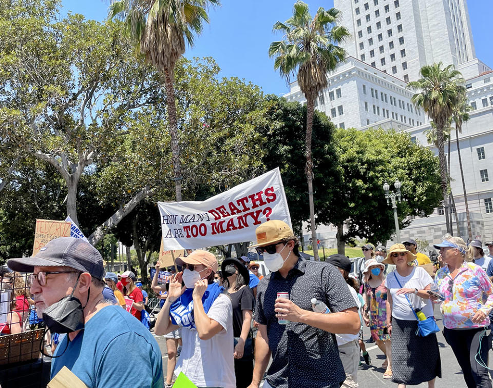 Marchers in Los Angeles (Linda Jacobson)