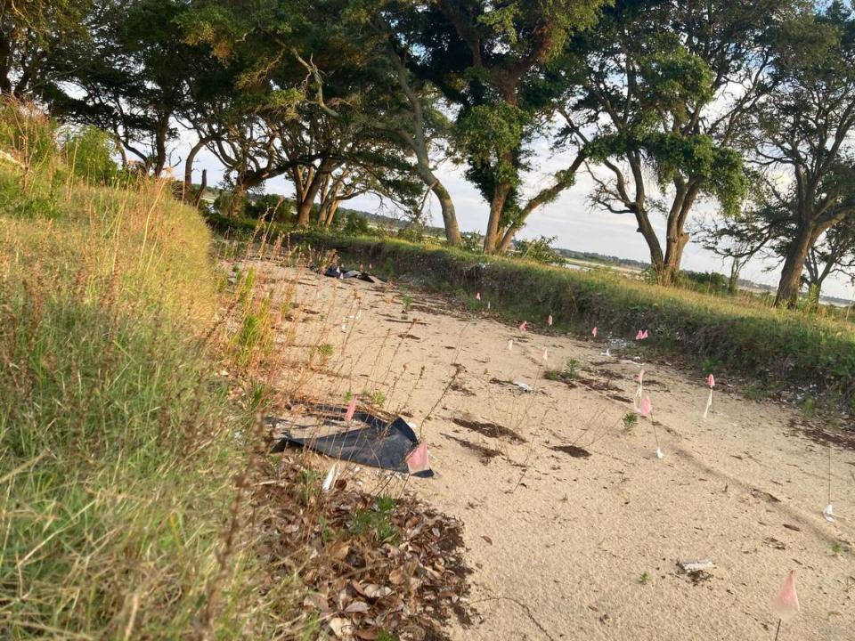 Archaeologists dug 16 trenches to survey for artifacts on the proposed site of the Bridge View development in Cedar Point, N.C. They found thousands of artifacts including 11 burial sites, but a bill in the N.C. General Assembly would allow developers to disturb such sites without input from archaeologists.