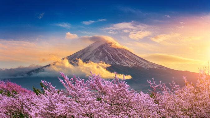 tawatchaiprakobkit / Getty Images/iStockphoto