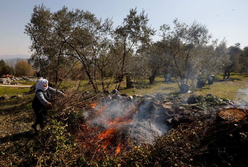 The Wider Image: Turkish olive farmer battles to save her land from coal mine