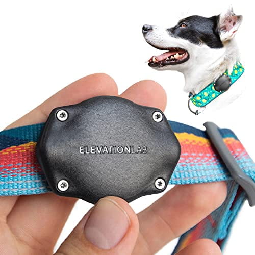 <p><a href="https://go.redirectingat.com?id=74968X1596630&url=https%3A%2F%2Fwww.walmart.com%2Fip%2FTagVault-Pet-The-Original-AirTag-Waterproof-Dog-Collar-Mount-Ultra-Durable-Fits-All-Width-Collars-Elevation-Lab-Single%2F1474645149&sref=https%3A%2F%2Fwww.menshealth.com%2Ftechnology-gear%2Fg45182937%2Fbest-airtag-accessories%2F" rel="nofollow noopener" target="_blank" data-ylk="slk:Shop Now;elm:context_link;itc:0;sec:content-canvas" class="link ">Shop Now</a></p><p>TagVault Pet AirTag Holder</p><p>walmart.com</p><p>$27.02</p><span class="copyright">Courtesy of Retailer</span>