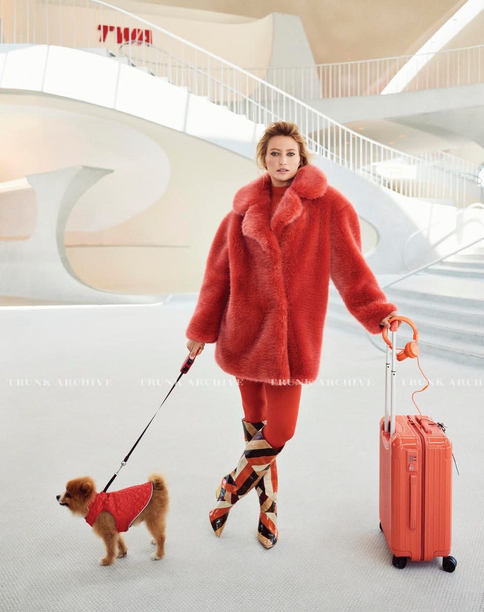 luxury travel with pets