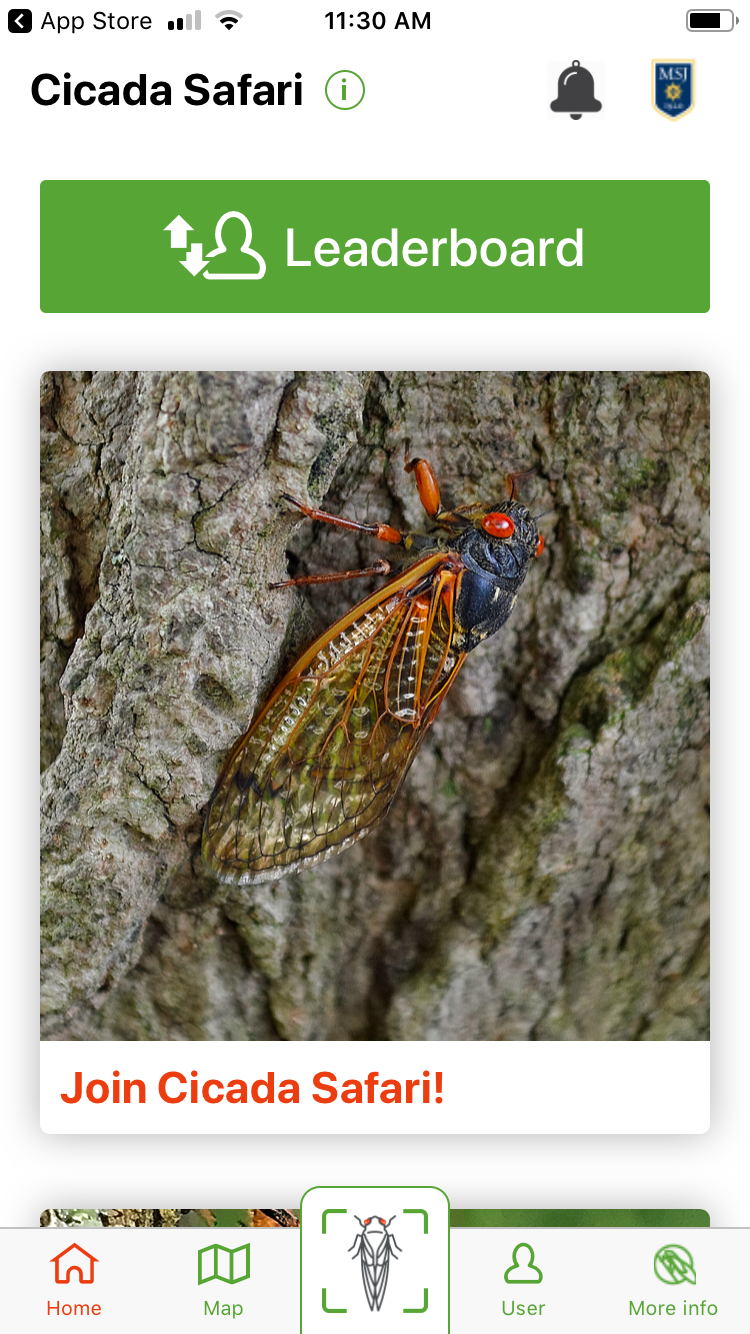 A historic cicada emergence will skip Pennsylvania this year. The next big emergence in the state will occur in 2030.